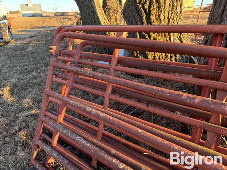 corral-gates-image-19