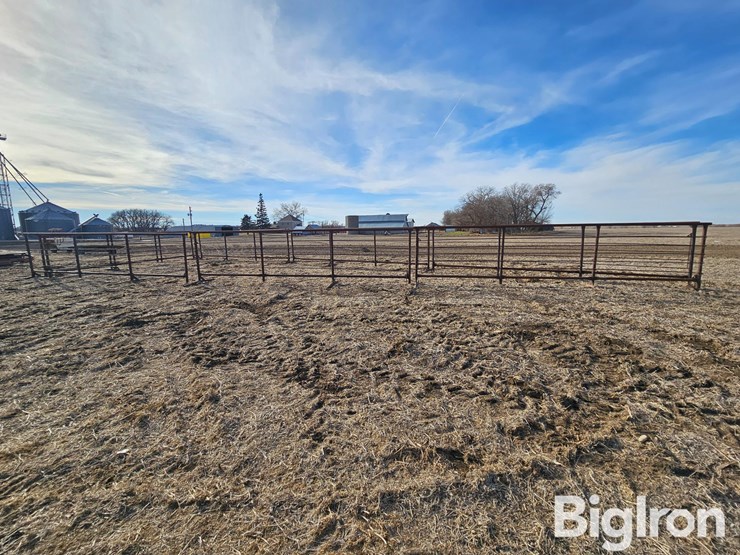 freestanding-livestock-panels-image-8