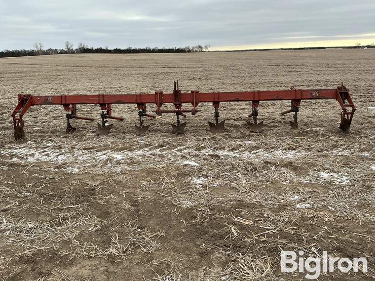 international-3-image-2