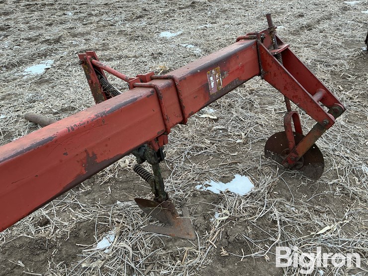 international-3-image-12