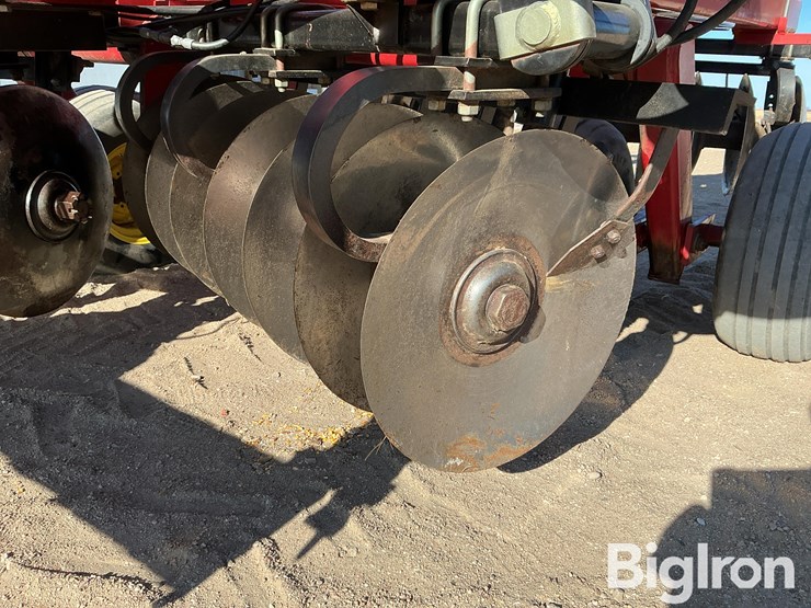 sunflower-1434-26-image-13