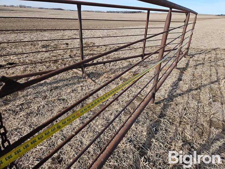 freestanding-livestock-panels-image-13