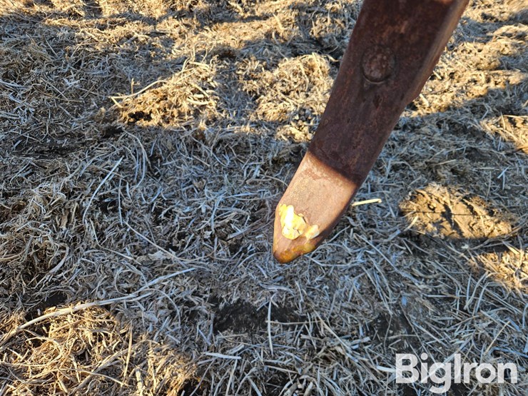 krause-1071-image-15