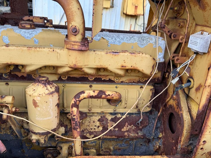 international-crawler-image-16