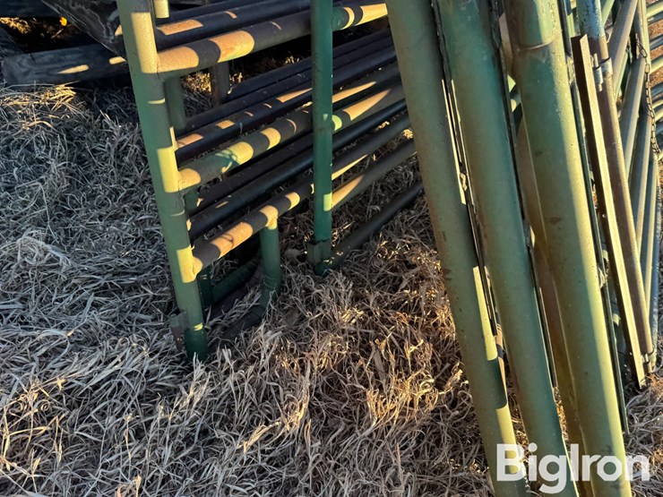 livestock-panels-&-gate-image-19