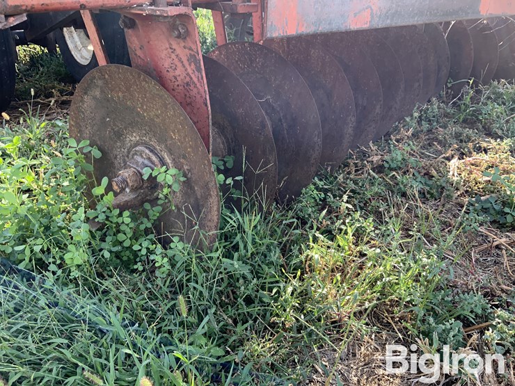 international-475-image-12