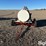 500-gallon-fuel-trailer-image-2