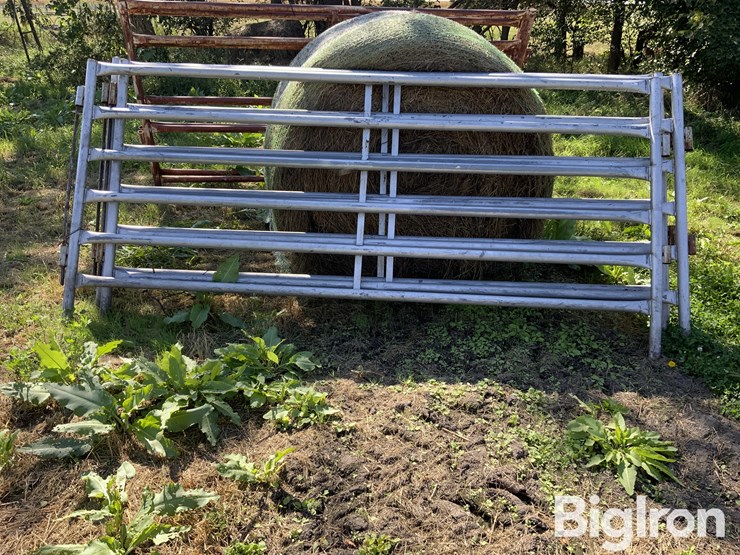 10’-6-bar-livestock-panels-image-2