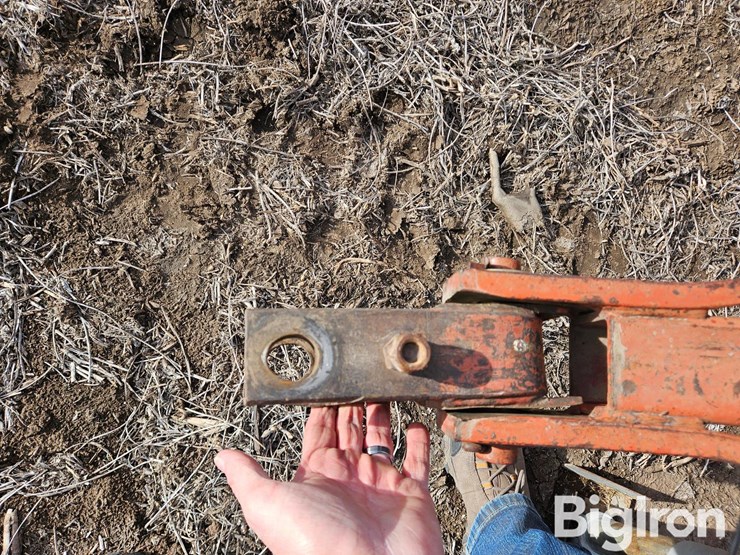 international-475-image-16