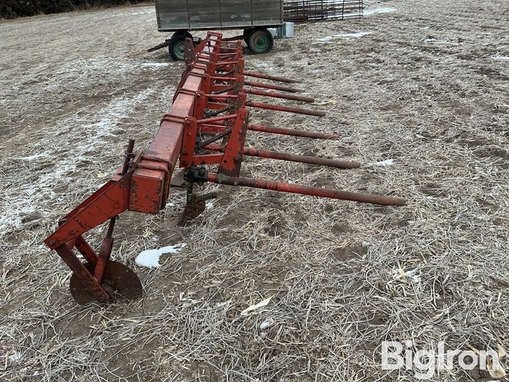 international-3-image-8