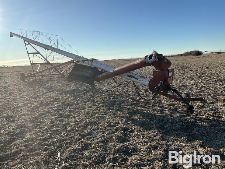 feterl-grain-auger-w/swing-hopper-image-3