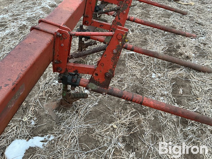 international-3-image-14