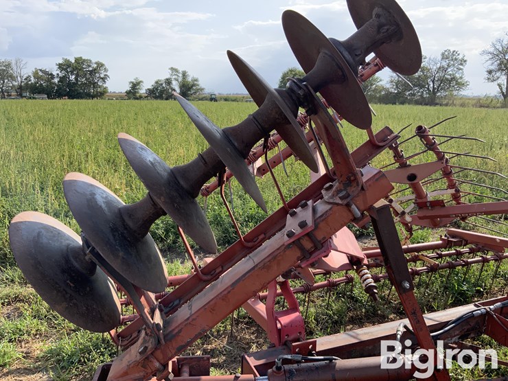 international-475-image-15