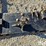 skid-steer-receiver-hitch-plate-w/accessories-image-11