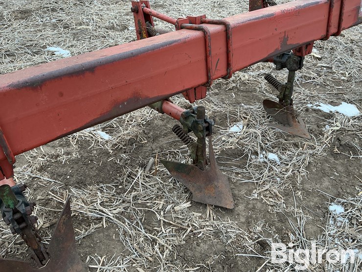 international-3-image-11