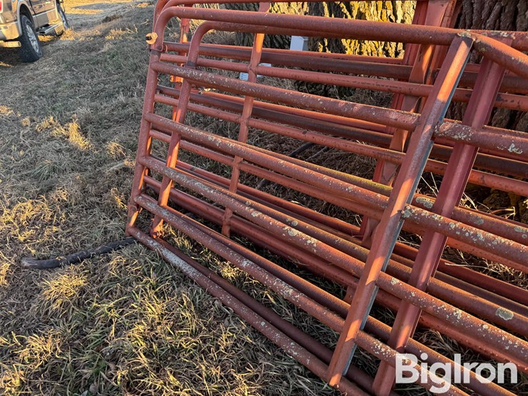 corral-gates-image-13