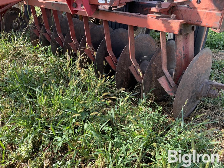 international-475-image-16