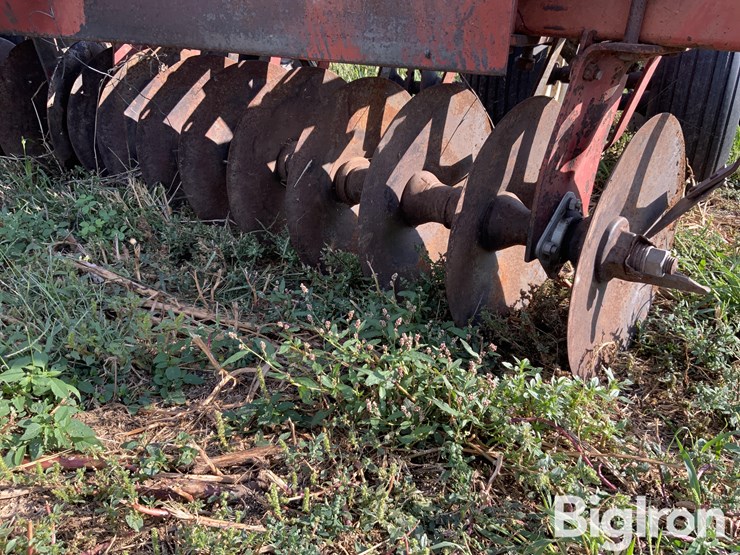 international-475-image-11