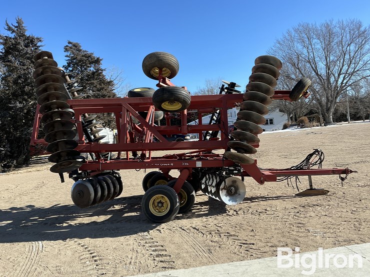 sunflower-1434-26-image-4