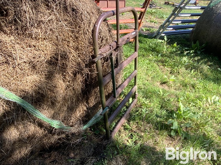 walk-through-gate-image-4