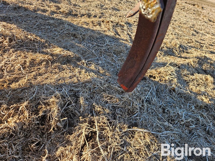 krause-1071-image-16