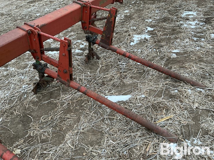 international-3-image-20