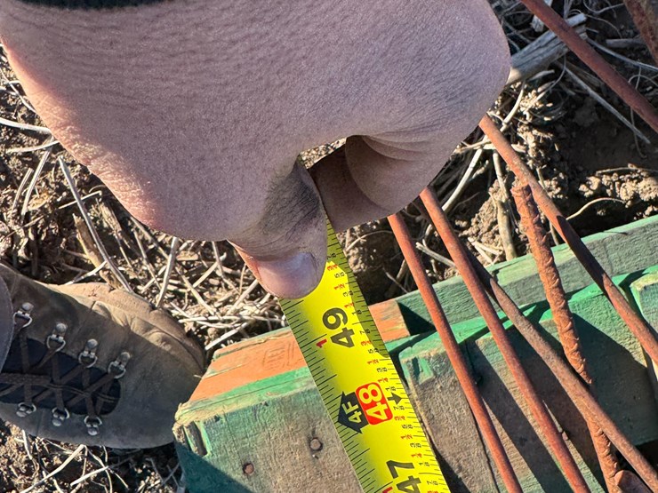 electric-fence-posts-image-14