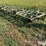 john-deere-21’-field-cultivator-w/harrow-image-1