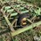 john-deere-21’-field-cultivator-w/harrow-image-9