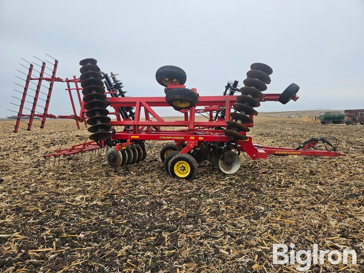 sunflower-1435-23-image-4