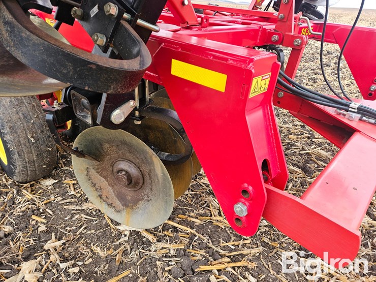 sunflower-1435-23-image-15