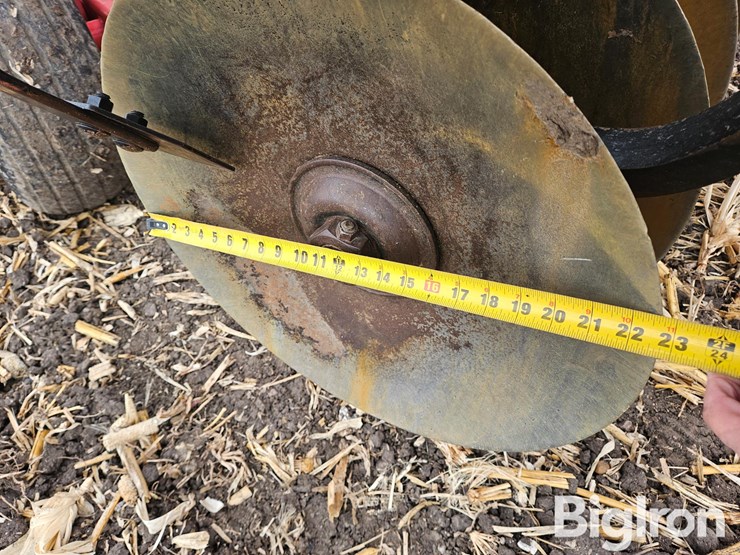 sunflower-1435-23-image-13