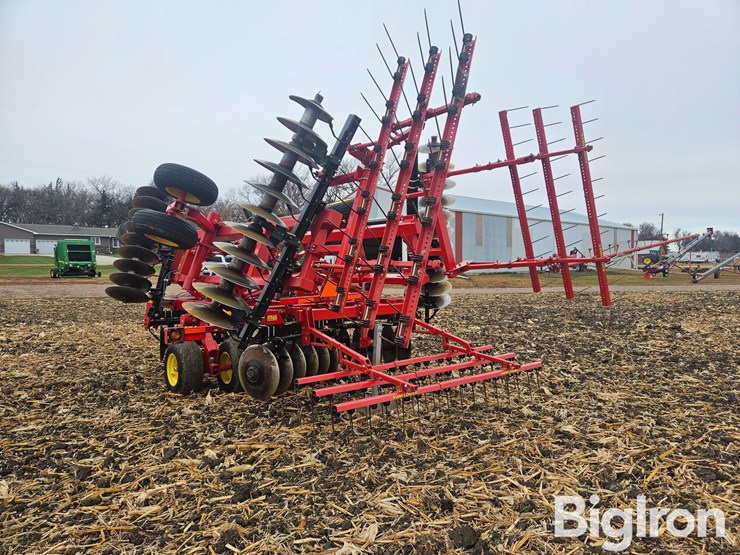 sunflower-1435-23-image-7