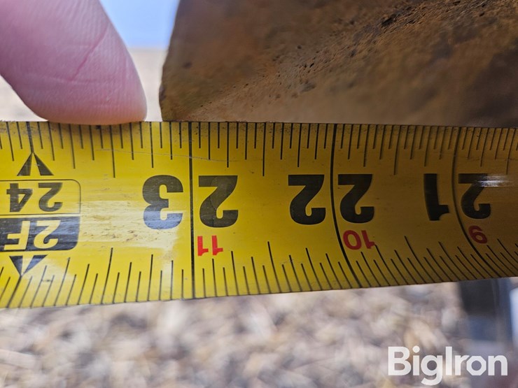 sunflower-1435-23-image-17