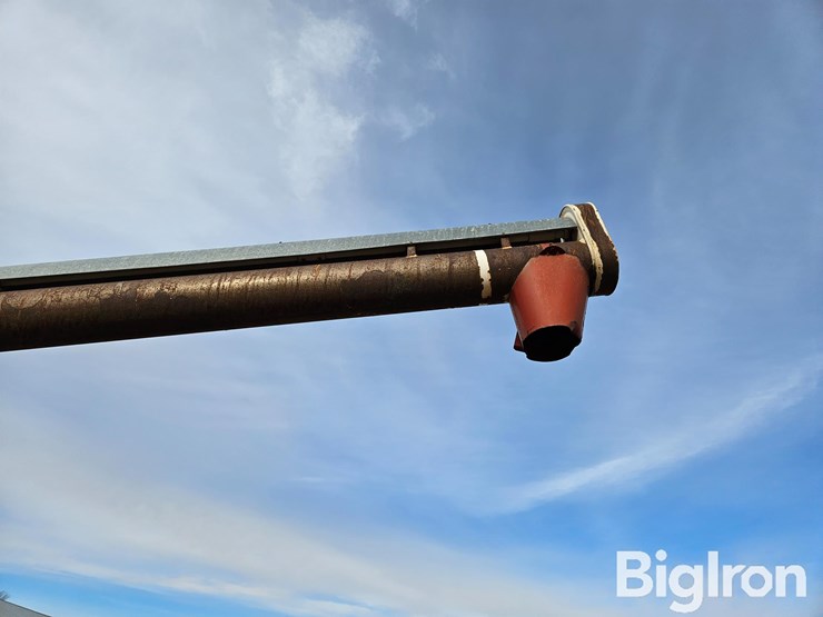 feterl-auger-image-15