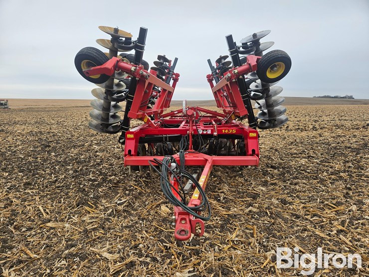 sunflower-1435-23-image-2