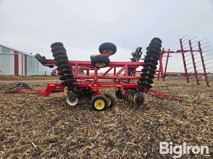 sunflower-1435-23-image-8