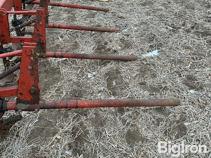 international-3-image-15