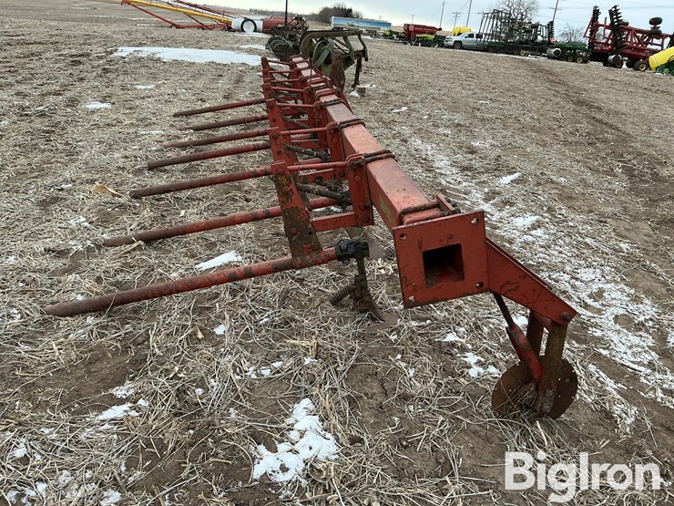 international-3-image-4