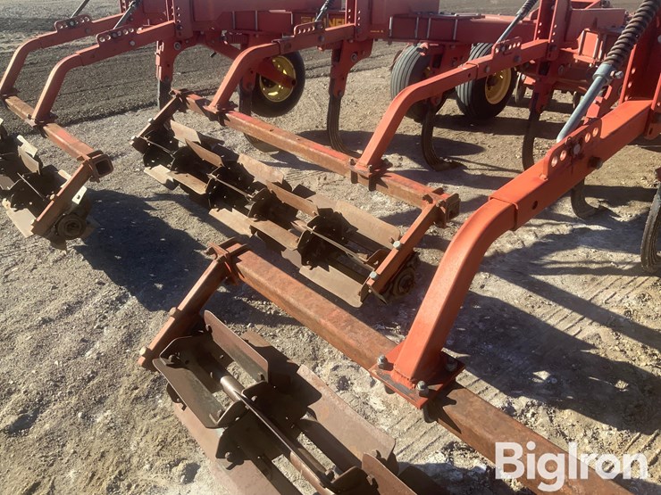 sunflower-4311-18-image-10