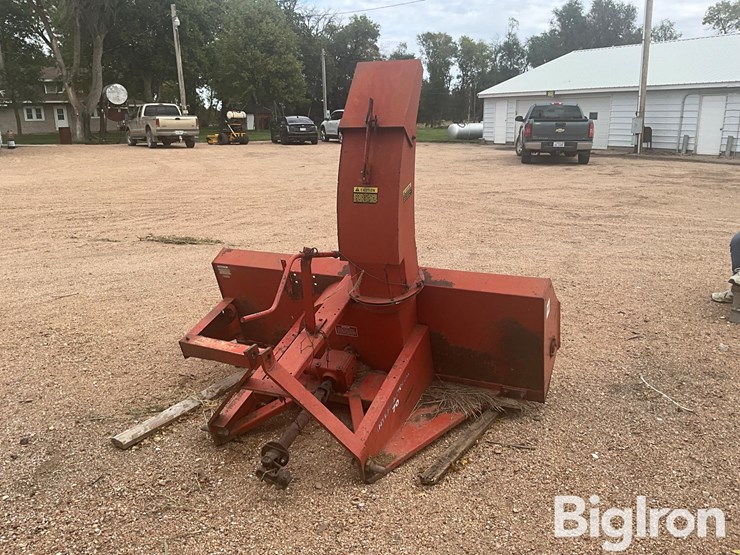 international-70-image-6