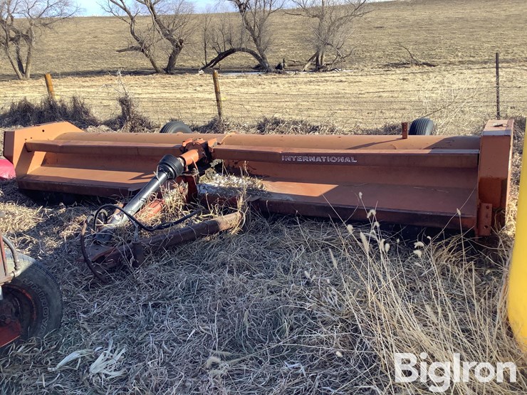 international-60-image-1