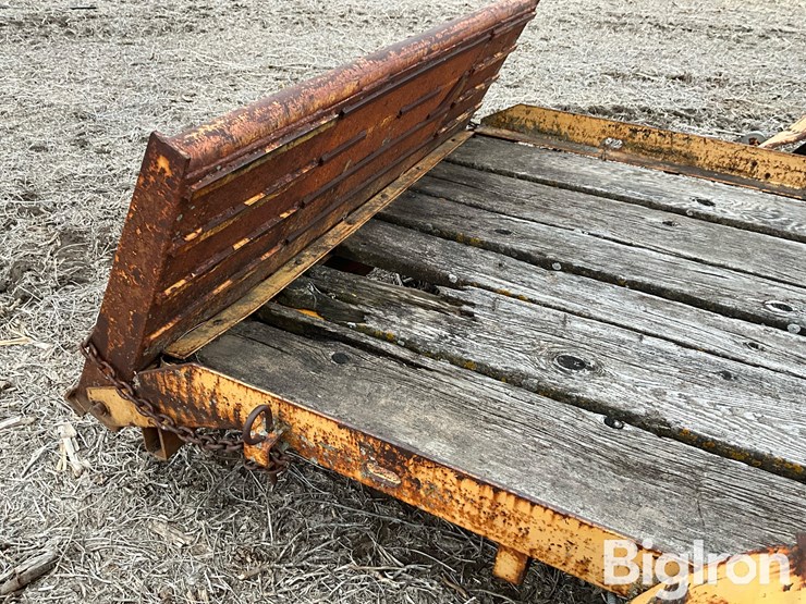 1966-international-14-image-14