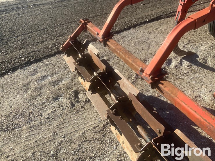 sunflower-4311-18-image-17