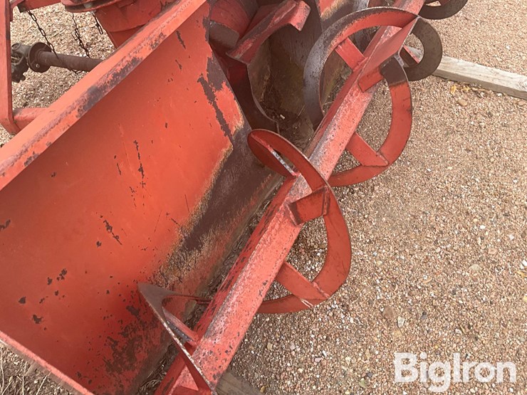 international-70-image-9