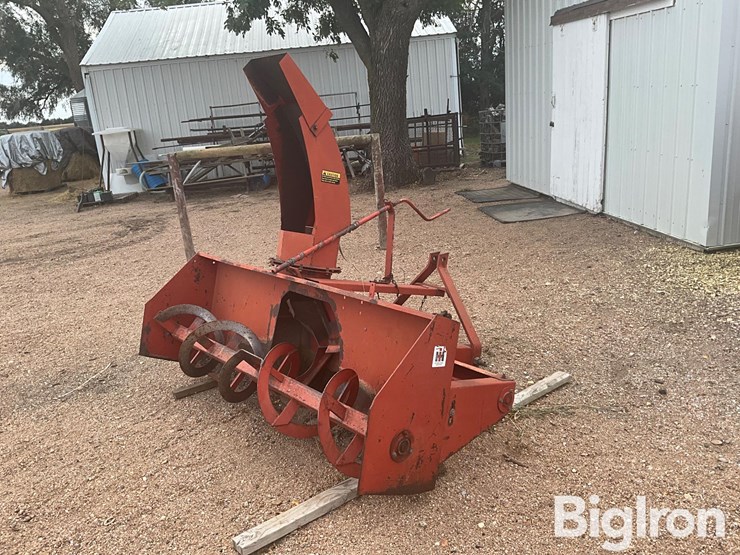 international-70-image-1