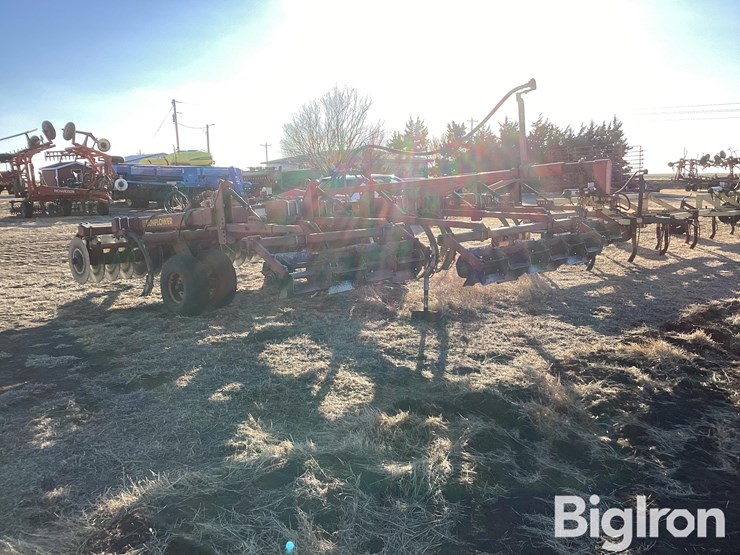 sunflower-4212-13-image-7