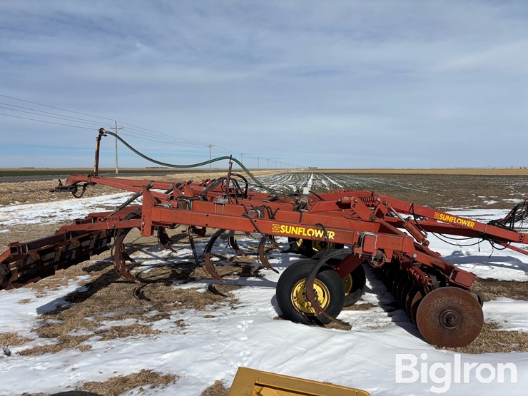 sunflower-4212-16-image-6