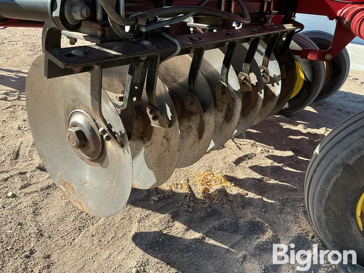 sunflower-1434-26-image-19