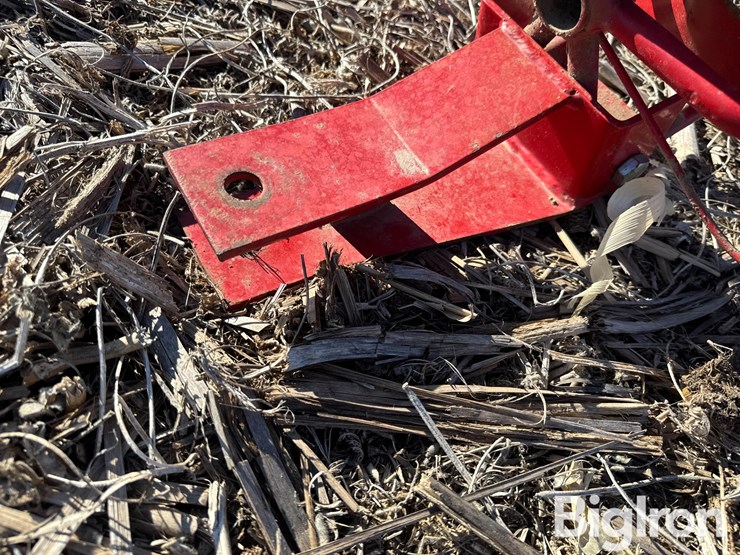 westfield-10x31-image-9